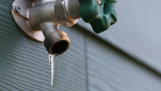 Best Local Plumber Services  in Bonney Lake, WA